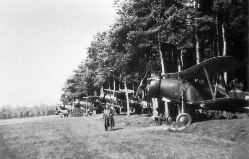 Pozorovací a lehké bombardovací dvouplošníky Letov š 328 cs. letectva ukryté na polním letišti behem mnichovské krize za druhé mobilizace v zárí 1938. Sbírka Zdenka Hurta.