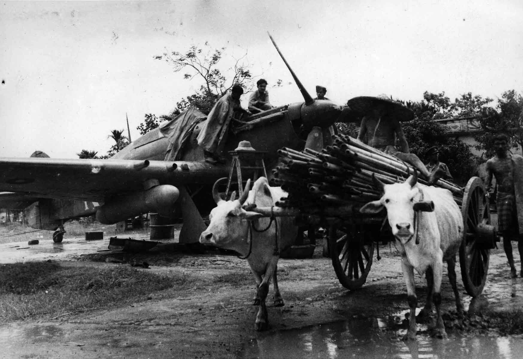 An ox-cart passing in front of a Hawker Hurricane being serviced by an Indian ground crew, Burma, 1944 (RAFM PC71/19/1755) An ox-cart passing in front of a Hawker Hurricane being serviced by an Indian ground crew, Burma, 1944 (RAFM PC71/19/1755)