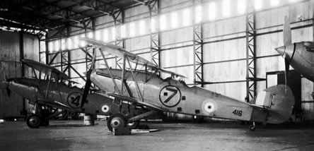 Pilot Kelsey portrait