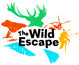 RAF Museum joins The Wild Escape, a collaboration between UK museums